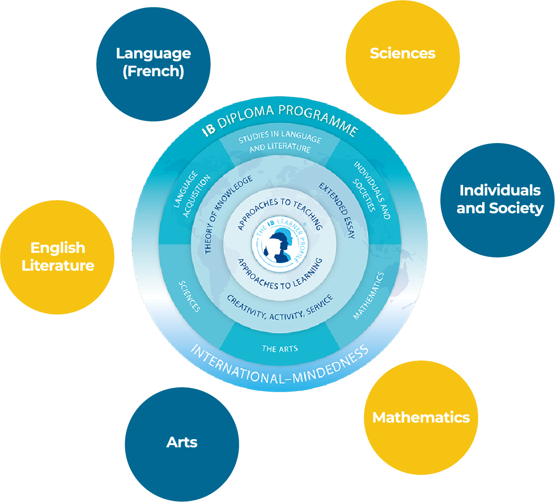 DP Subjects DP Programme with subjects
