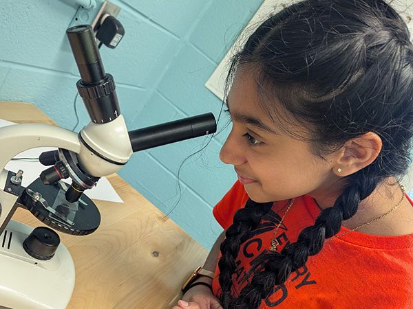 microscope2